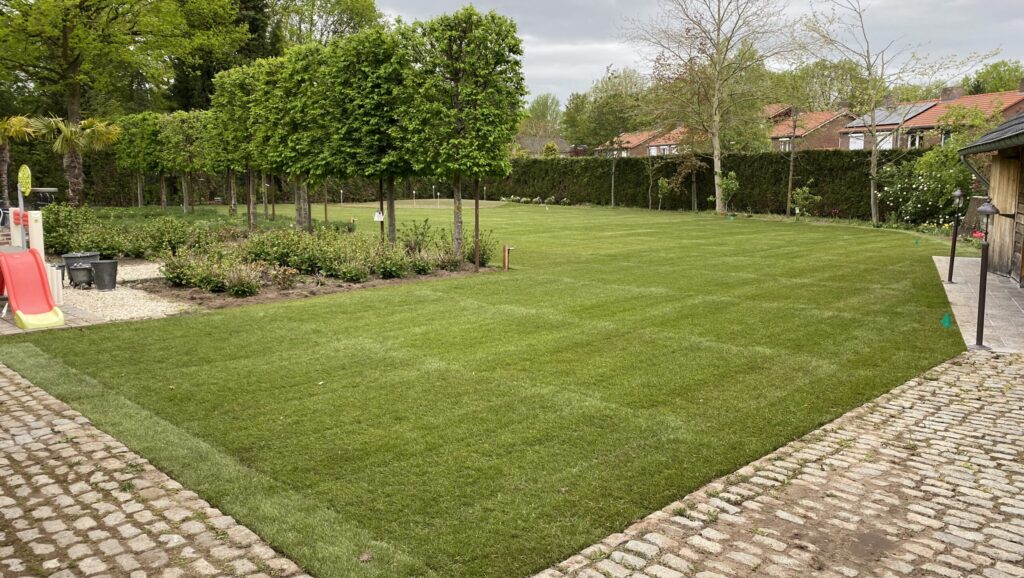 Graszoden Dautzenberg Speelgras In Tuin Bezorgen Afhalen